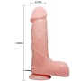 BAILE - Realistischer Vibrator Bárbara Natural 21 cm mit starker Saugnapfbasis
