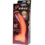 BAILE Penis Vibrations-Dildo mit realistischer Vibration und Saugnapf