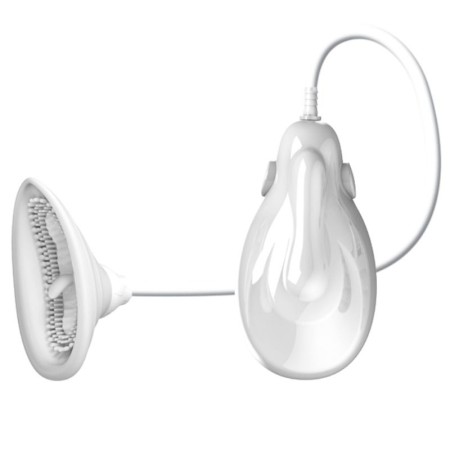 PRETTY LOVE - FLIRTATION Saug- und Vibrationsstimulator Passionate Lover