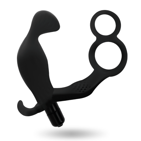 ADDICTED TOYS - Analplug mit Doppel-Penisring und Hodenring, schwarz
