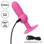 CALEXOTICS - First Time Anal Plug mit 10 Vibrationsmodi, Rosa