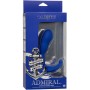CALEXOTICS Admiral gebogener Analstimulator & Vibrator, Blau