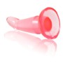 BAILE Anal Plug mit G-Punkt-Stimulation, Pink, 13 cm