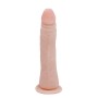 BAILE FIT Realistischer TPR Dildo mit Wirbelsäule, 20,1 cm