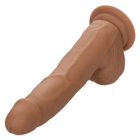 CALEXOTICS - SILICONE STUDS 20,32 CM Braun - Realistischer, flexibler Dildo mit Saugnapf