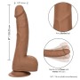 CALEXOTICS - SILICONE STUDS 20,32 CM Braun - Realistischer, flexibler Dildo mit Saugnapf