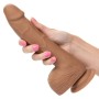 CALEXOTICS - SILICONE STUDS 20,32 CM Braun - Realistischer, flexibler Dildo mit Saugnapf
