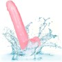 CALEXOTICS - Size Queen Dildo Pink 20,3 cm mit flexibler Basis