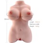 ARMONY Realistischer Weiblicher Torso Modell 3 - Hochwertiges TPE, 4,4 kg