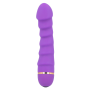 INTENSE - SALLY 20 Vibrationsmodi Silikon Vibrator Lila