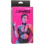 CALEXOTICS - Euphoria Halsband mit Kettenleine