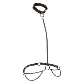 CALEXOTICS - Euphoria Plus Size Ketten-Halfter, Halsband & Leine