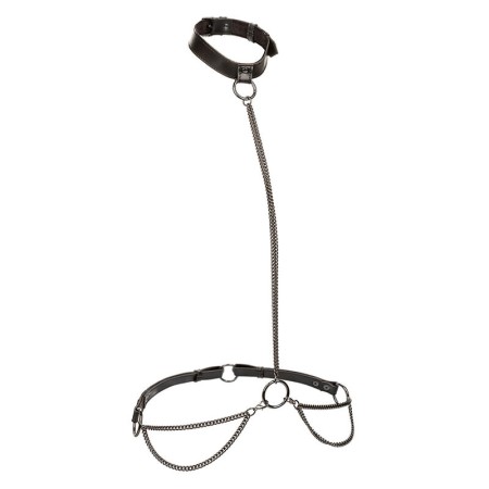 CALEXOTICS - Euphoria Plus Size Ketten-Halfter, Halsband & Leine