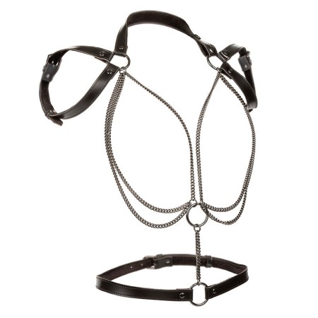 CALEXOTICS - Euphoria Premium Multi-Chain Halfter Harness