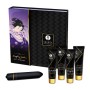 SHUNGA - Geisha Naughty Kit: Eleganz & Sinnlichkeit für Paare