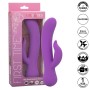 CALEXOTICS - First Time Vibrator Pleaser Wiederaufladbar Lila