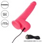 CALEXOTICS Studs Realistischer 10 Vibrations-Modi Vibrator - Rosa