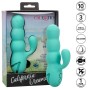 CalExotics Del Mar Diva Rabbit Vibrator in Aqua Grün – Leistungsstarker Dual-Stimulator