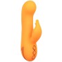 CalExotics Montecito Muse Rabbit Vibrator Orange – Dualstimulator mit automatischer Aufblasfunktion